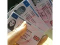 buy-quality-counterfeit-money-and-fake-passportsdrivers-licenseid-cardsvisasssn-whatsapp-639670618856-small-1