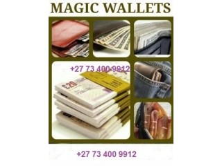 Get Money Instantly With Magic Wallet +27734009912