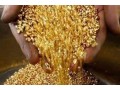 gold-and-diamonds-mining-fields-for-sale-in-africa-27-73-799-4524-small-2